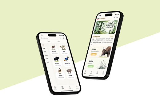石家莊APP開發(fā)公司