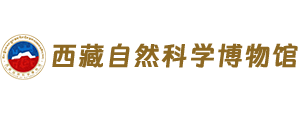 石家庄小程序开发