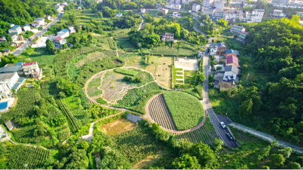 【重庆台】借餐具1578.png