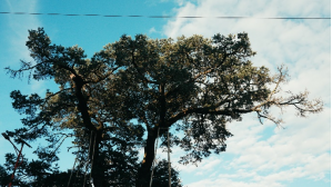 (云南台)针线盒1042.png (云南台)针线盒1042.png